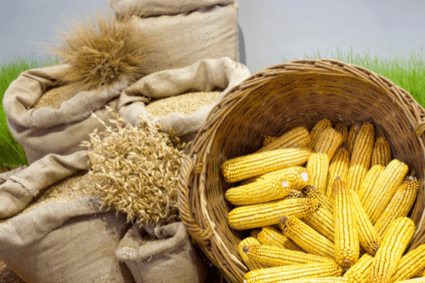 Antonio Augusto de Souza Coelho