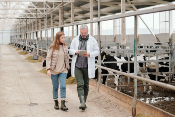 Agenor Vicente Pelissa