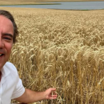 Economia criativa: descubra com Pedro Duarte Guimarães como transformar talento em negócios rentáveis no cenário atual.