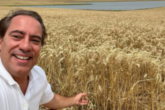 Economia criativa: descubra com Pedro Duarte Guimarães como transformar talento em negócios rentáveis no cenário atual.