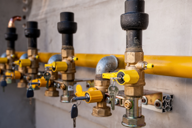 Paulo Roberto Gomes Fernandes