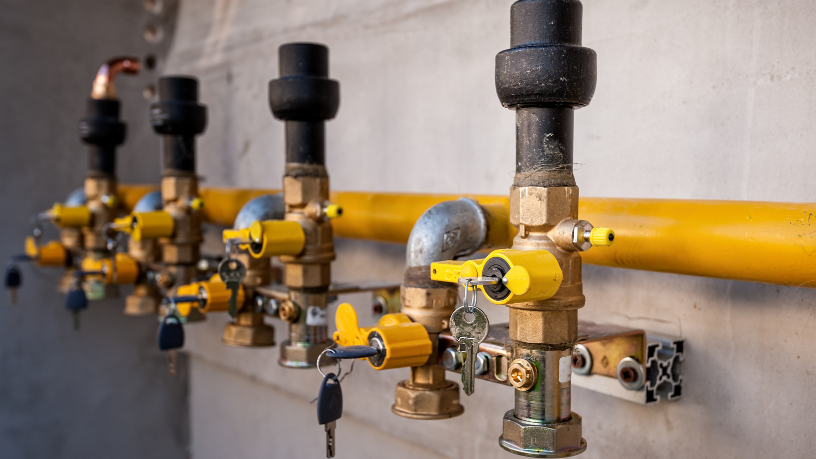 Paulo Roberto Gomes Fernandes