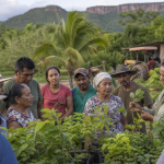 Representantes de comunidades tradicionais e agricultores familiares em atividade de capacitação ambiental em Mato Grosso