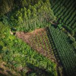 Vista aérea de uma floresta verde ao lado de áreas agrícolas com padrões organizados.