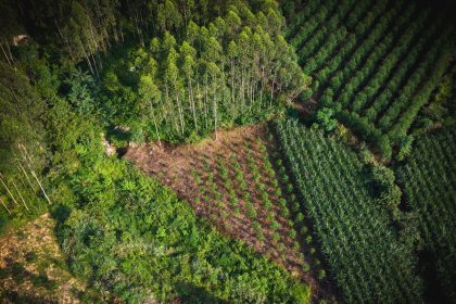 Vista aérea de uma floresta verde ao lado de áreas agrícolas com padrões organizados.